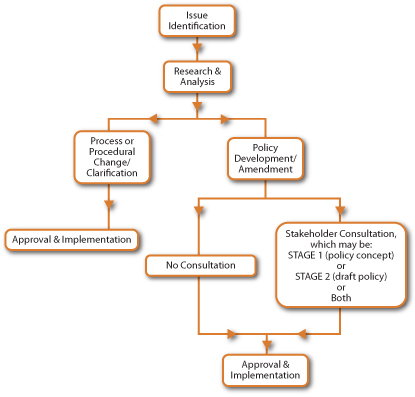 Flow diagram describing the process of policy development